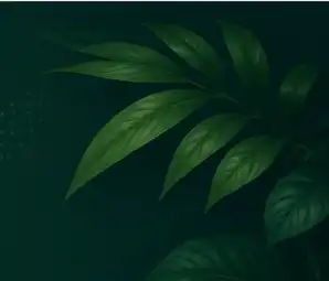 Green foliage decoration on AI plant identifier page