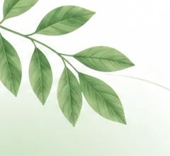 Green plant leaves decoration for AI plant identification output