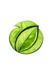 Pomelo leaf sample for plant identification