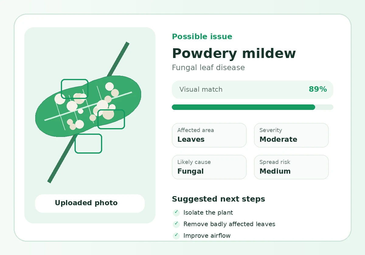 Example AI plant diagnosis result showing powdery mildew and suggested next steps